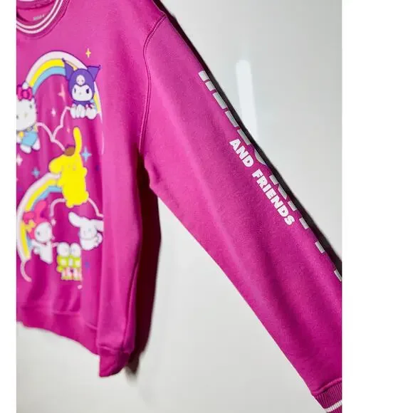Hello Kitty And Friends Sweatshirt Women's Large Pink Long Sleeve TV Graphic - Picture 4 of 8
